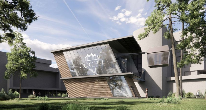 спа-салог сосны на берегу нарочи